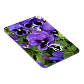 lila Stiefmütterchen Magnet (Rechte Seite)