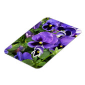 lila Stiefmütterchen Magnet (Linke Seite)