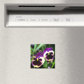 Lila Stiefmütterchen - Magnet (In Situ (Geschirrspüler))