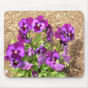 Lila Stiefmütterchen Mousepad