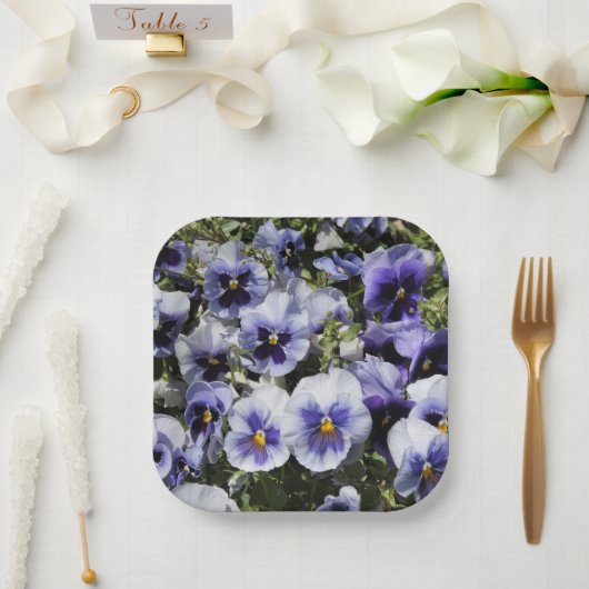 Lila Stiefmütterchen Pappteller (Hochzeit)