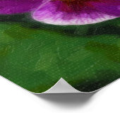 Lila Stiefmütterchen Poster (Ecke)