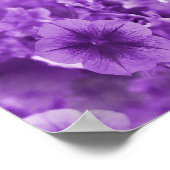 Lila Stiefmütterchen... Poster (Ecke)