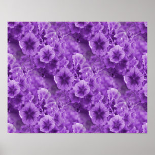 Lila Stiefmütterchen... Poster