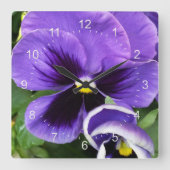 lila Stiefmütterchen Quadratische Wanduhr (Vorderseite)