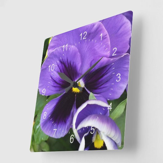 lila Stiefmütterchen Quadratische Wanduhr (Winkel)
