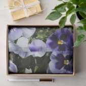 Lila Stiefmütterchen Seidenpapier (Geschenk)