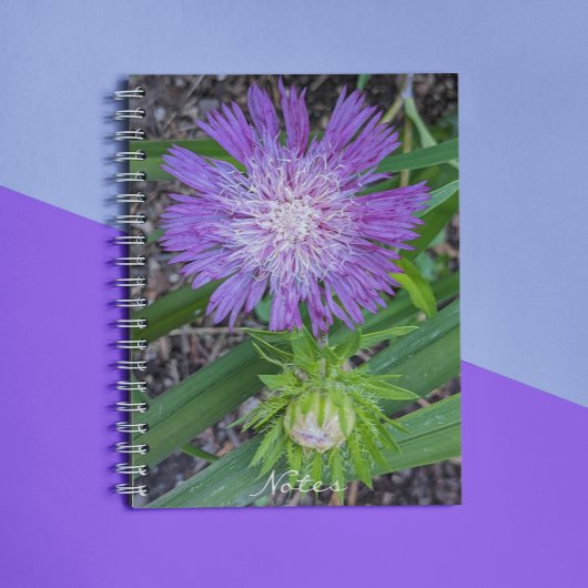 Lila Stoke's Aster Floral Notizblock