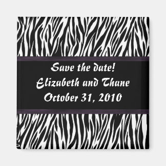 Lila Streifen Zebra Print Magnet