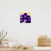 Lila Streptocarpus-Blume-Poster Poster (Küche)