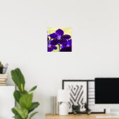 Lila Streptocarpus-Blume-Poster Poster (Heimbüro)