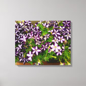 Lila Striped Petunias Leinwanddruck (Vorderseite)