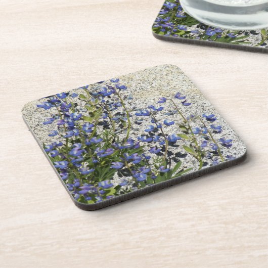 Lila subalpine Lupine Getränkeuntersetzer (Linke Seite)