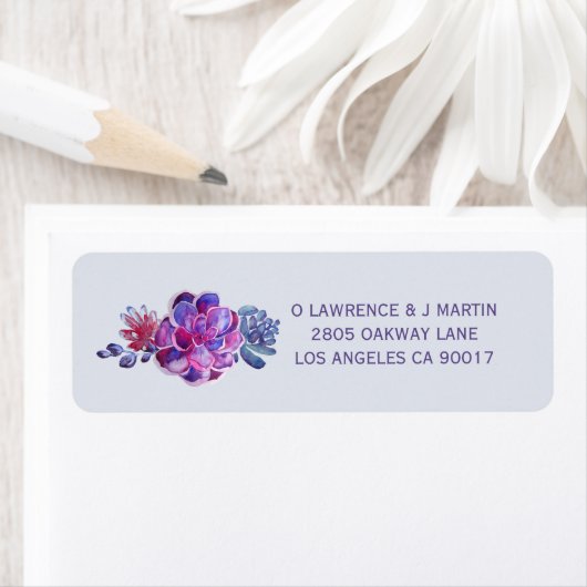 Lila Sukkulat (Insitu)