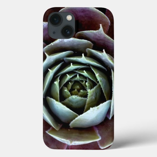 Lila Sukkulentes Nah-Up Case-Mate iPhone Hülle (Rückseite)