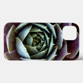 Lila Sukkulentes Nah-Up Case-Mate iPhone Hülle (Rückseite (Horizontal))