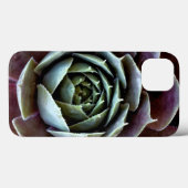 Lila Sukkulentes Nah-Up Case-Mate iPhone Hülle (Rückseite (Horizontal))