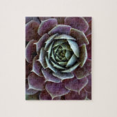 Lila Sukkulentes Nah-Up Puzzle (Vertikal)