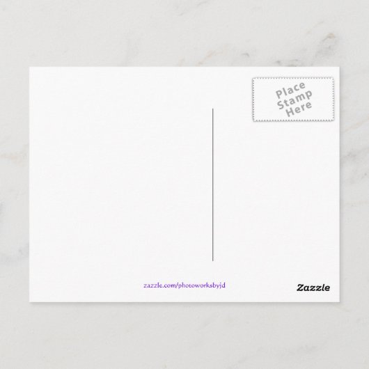 Lila Summe 1 Postkarten (Rückseite)