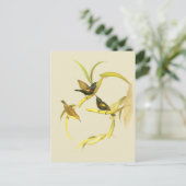 Lila Sunbird Postkarte (Stehend Vorderseite)