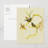 Lila Sunbird Postkarte (Vorne/Hinten)