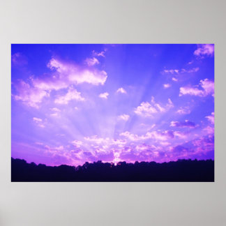 Lila Sunrise Poster