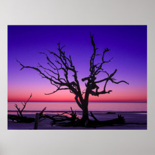 Lila Sunrise Poster