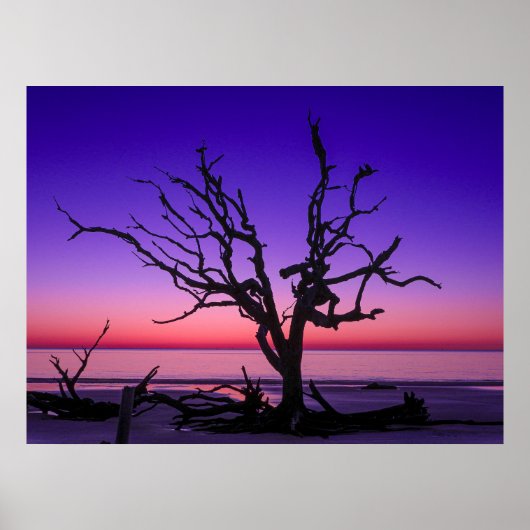 Lila Sunrise Poster (Vorne)