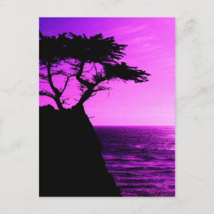 Lila Sunset Beach Tree Ocean Peace Liebe Destinati Postkarte