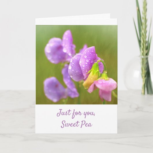 Lila süße Erbse wird gut Karte (Vorderseite)