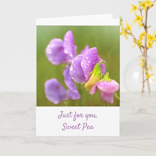 Lila süße Erbse wird gut Karte (Gelbe Blume)