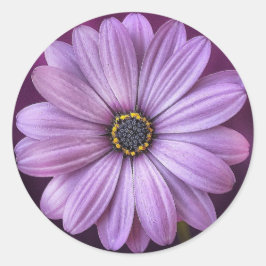 Lila Tageszeit- Runder Aufkleber