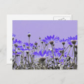 Lila Tageszeitungen Postkarte (Vorne/Hinten)