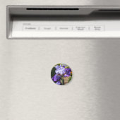 Lila Tal Bearded Iris Magnet (In Situ (Geschirrspüler))