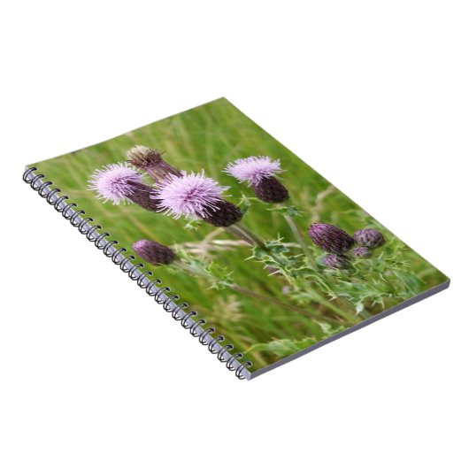 Lila Thistle-Notebook Notizblock (Rechte Seite)