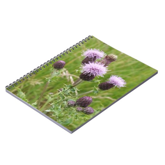 Lila Thistle-Notebook Notizblock (Linke Seite)