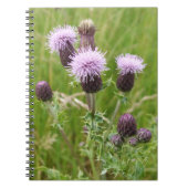 Lila Thistle-Notebook Notizblock (Vorderseite)