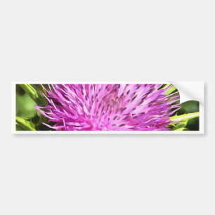 Lila Thistle Wildblume Blumenmuseum Autoaufkleber