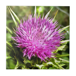 Lila Thistle Wildblume Blumenmuseum Fliese
