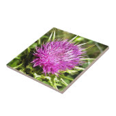 Lila Thistle Wildblume Blumenmuseum Fliese (Seite)