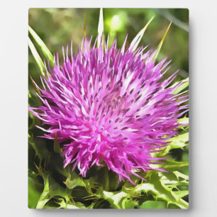 Lila Thistle Wildblume Blumenmuseum Fotoplatte