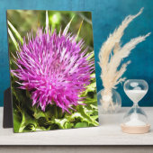 Lila Thistle Wildblume Blumenmuseum Fotoplatte (Seite)
