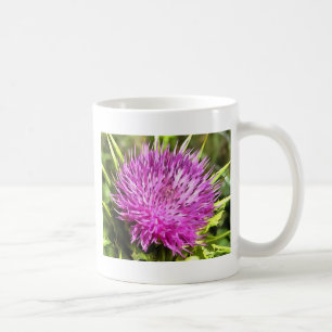 Lila Thistle Wildblume Blumenmuseum Kaffeetasse