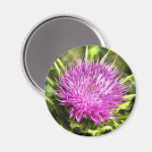 Lila Thistle Wildblume Blumenmuseum Magnet (Vorderseite/Rückseite)