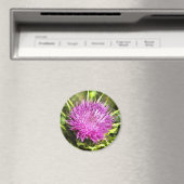 Lila Thistle Wildblume Blumenmuseum Magnet (In Situ (Geschirrspüler))