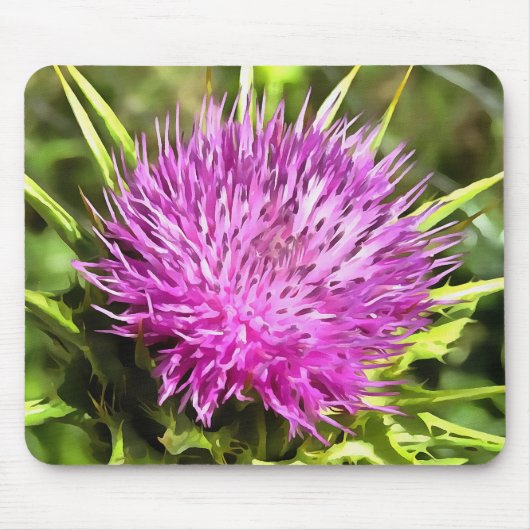 Lila Thistle Wildblume Blumenmuseum Mousepad (Vorne)