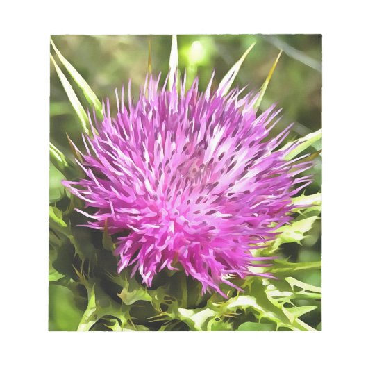 Lila Thistle Wildblume Blumenmuseum Notizblock (Vorderseite)