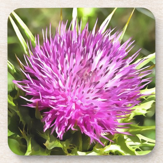 Lila Thistle Wildblume Blumenmuseum Untersetzer (Vorderseite)