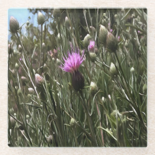 Lila Thistle Wildblume Realistische Kunst Glasuntersetzer