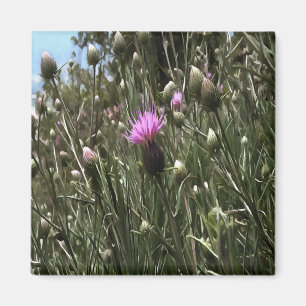 Lila Thistle Wildblume Realistische Kunst Magnet